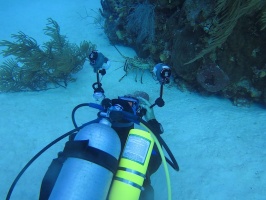 059 Taking a picture of a Spiny Lobster IMG 5404